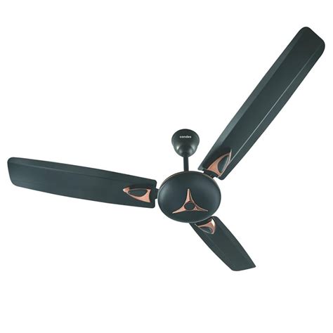 Buy Candes Star 1200 mm High Speed Ceiling Fan, Coffee Brown at Best ...