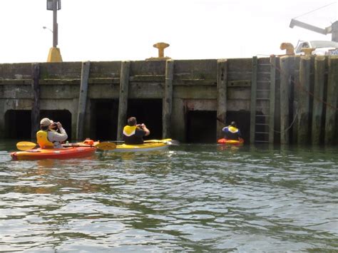 THE SONG OF THE PADDLE (2026) All You Need to Know BEFORE You Go (with ...