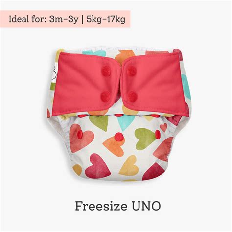 Buy SUPERBOTTOMS FREESIZE UNO - REUSABLE CLOTH DIAPER WITH DRY FEEL ...