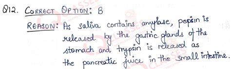 Class 10 CBSE Term1 Science SPECIMEN 2022