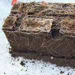 Containers & Substrates - All agricultural manufacturers in this category