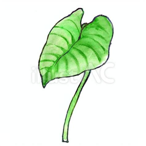 Image result for Alien Animal Simple