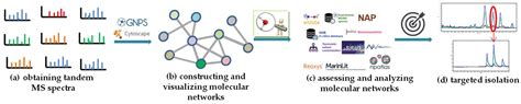 MS/MS-Based Molecular Networking: An Efficient Approach for Natural ...