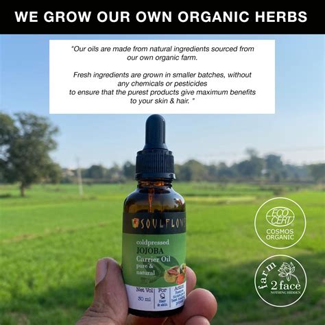 Buy Best Cold Pressed Jojoba Oil for Clear & Glowing Skin – Soulflower.in