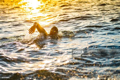 Swim in Sea 的图像结果