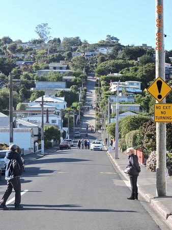 Dunedin Hop On Hop Off Bus (Port Chalmers) - All You Need to Know ...