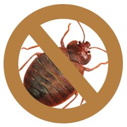 Pest Control Services in Ahmedabad, Gujarat | TCI Care