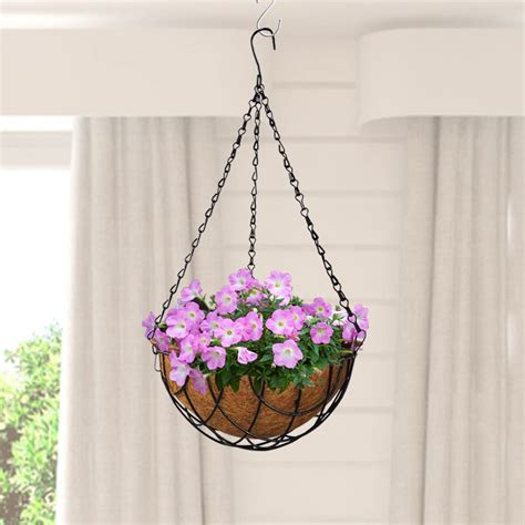 TrustBasket Coir Hanging Basket (Set of 6) -Coco Fiber Liner | Hanging ...