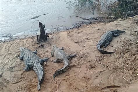 JOSEPH WANJAU (2026) All You Need to Know BEFORE You Go (with Photos ...