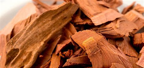 What are the benefits of these 6 Ayurvedic herbs for diabetes - Everyt ...