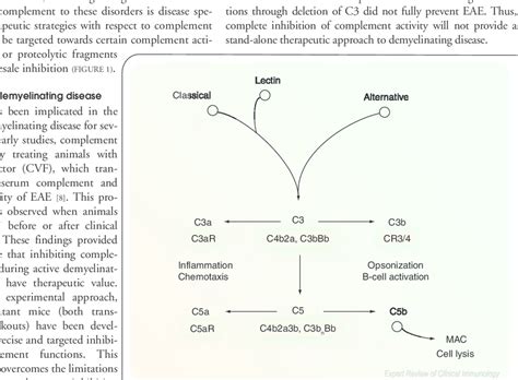 Image result for Complement Pathways Animation