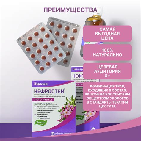 Нефростен таблетки, 120 шт, Эвалар - купить по цене 1039 руб. в г ...