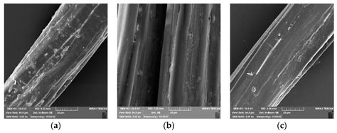 Plasma Treatment as a Sustainable Method for Enhancing the Wettability ...