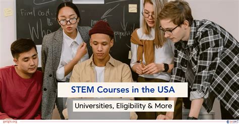 STEM Courses 的图像结果