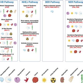 Image result for DNA Problem