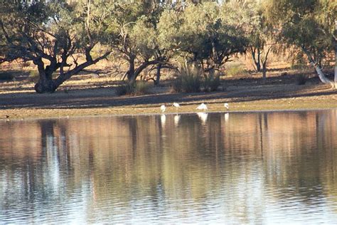 THE LAKE (Quilpie) - Campground Reviews & Photos - Tripadvisor
