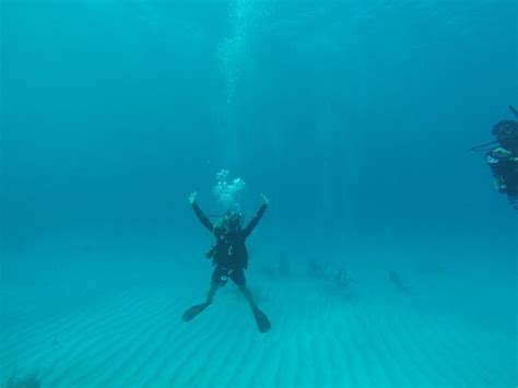 Underwater Vision Dive Center (Utila) - 2022 What to Know Before You Go ...