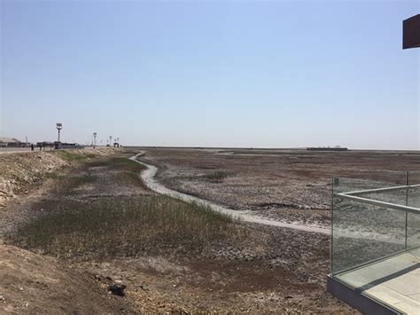 Honghai Beach Scenic Resort (Dawa County) - 2021 What to Know Before ...