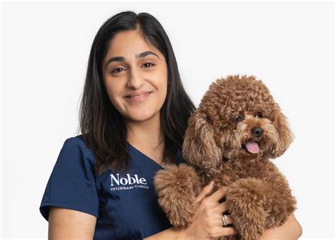 Understanding Dog Age in Human Years: What Science Really Says
