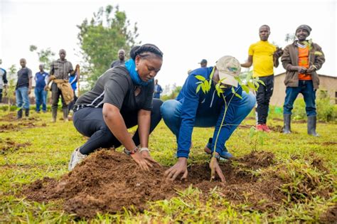 Image result for Pro-Humane Tree-Planting Project