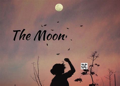 The Moon - Different Truths