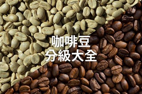 咖啡豆分級大全 - COFFEEMART BLOG - 咖啡市集-直送 台灣 / 香港 / 澳門