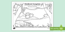 Image result for Tools Equpment in Computer Programming