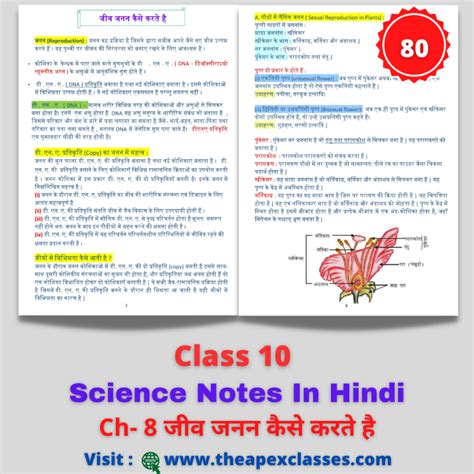 Lesson 8 Science Class 10 的图像结果