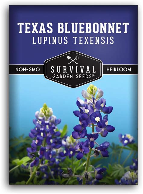 Amazon.com : Created By Nature Texas Bluebonnet Seeds, 750+ Wildflower ...