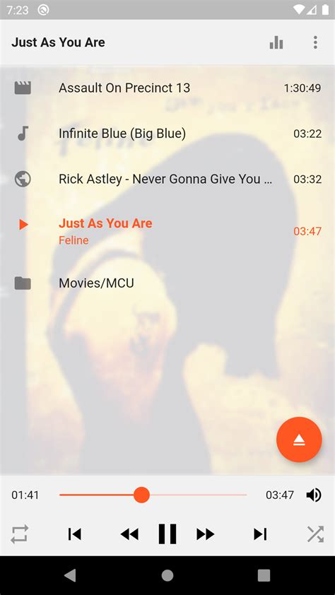 Image result for Flutter VLC