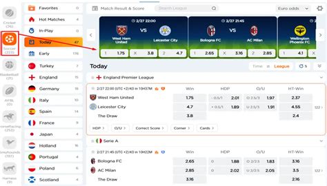 Indibet: Official IPL & Sports Betting Website 2025