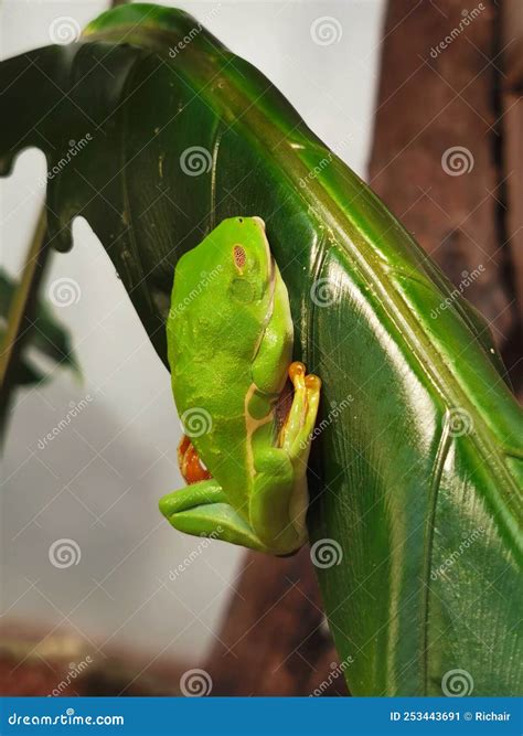 Image result for New Line JavaScript