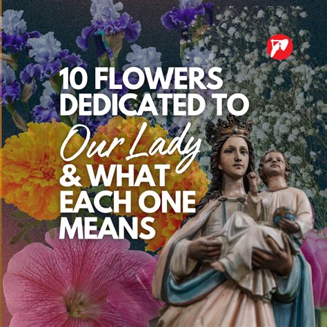 The 10 Flowers Dedicated to Our Lady & What Each One Means