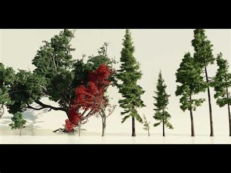 Forest Nodes - procedural trees using Geometry Nodes - Finished Projects - Blender Artists Community
