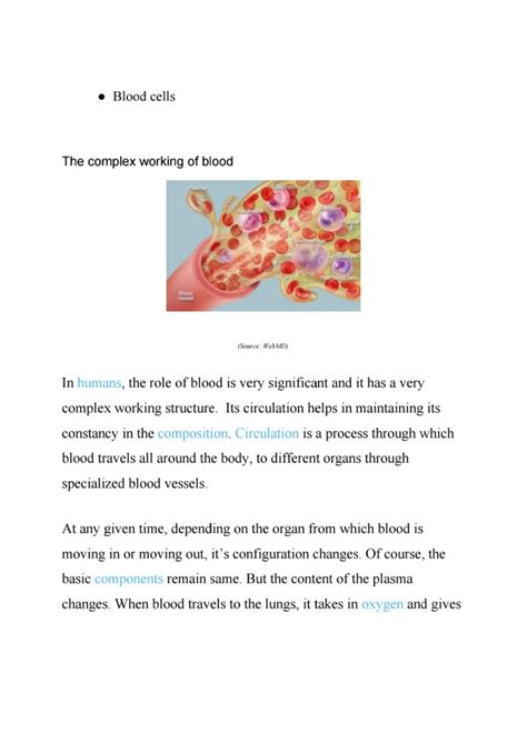 Circulation Class 12 的图像结果