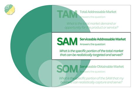 TAM SAM SOM: Definition, Examples, Calculation, and Purpose