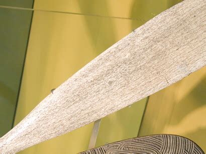 Margaret Mead Hall of Pacific Peoples | Meer