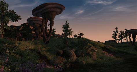 Install OpenMW 的图像结果