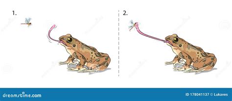 Image result for Frog Catching Insect