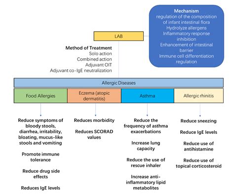 A Review on Maternal and Infant Microbiota and Their Implications for ...