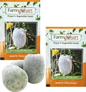 farmgokart |2 Packets of ASHGOURD FI HYBRID SEEDS|for Home & Terrace ...