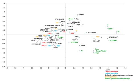 An Outbreak of Limping Syndrome Associated with Feline Calicivirus