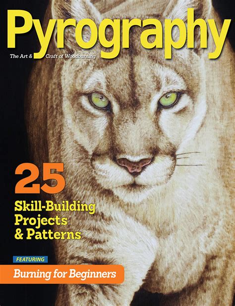 Buy Pyrography Special Edition: 25 Skill-Building Projects & Patterns ...