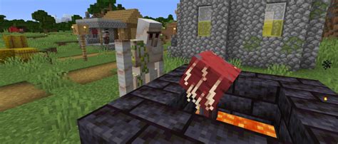 Image result for 1.16.4 Dupes Java