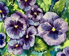 Image result for Watercolor Pansies