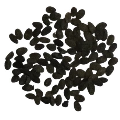 Phlox Drummondi Grandiflora Mix Seeds (Organic, Non-Hybrid, Non-GMO ...