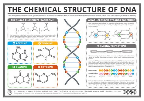 Image result for Acid Chemical Structure