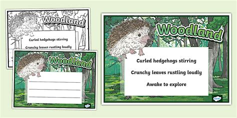 Woodland Haiku Example