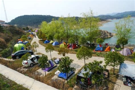 荆州开放150个公园、绿地！给市民野餐、露营……