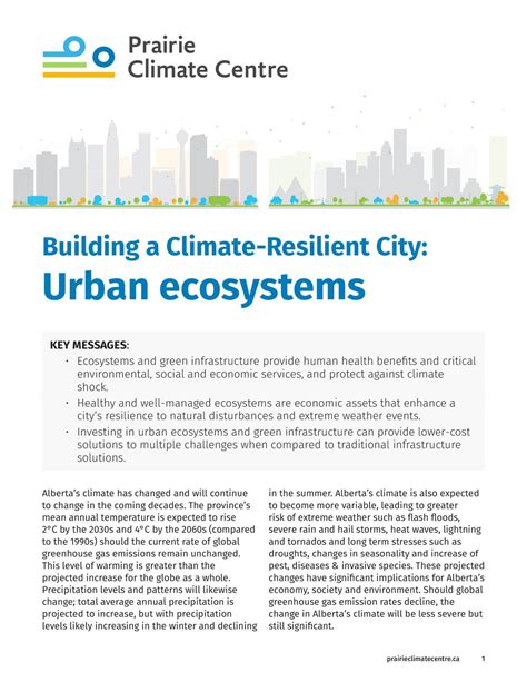 Environment of Local Development 的图像结果